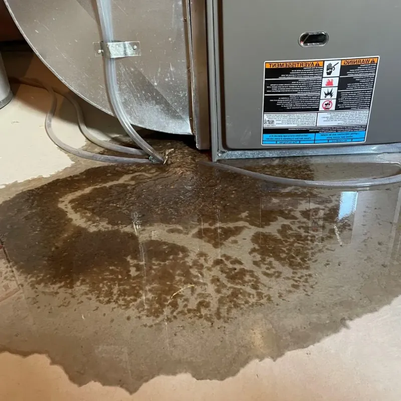 Pipe Burst and Leak Restoration in Cheswick, PA